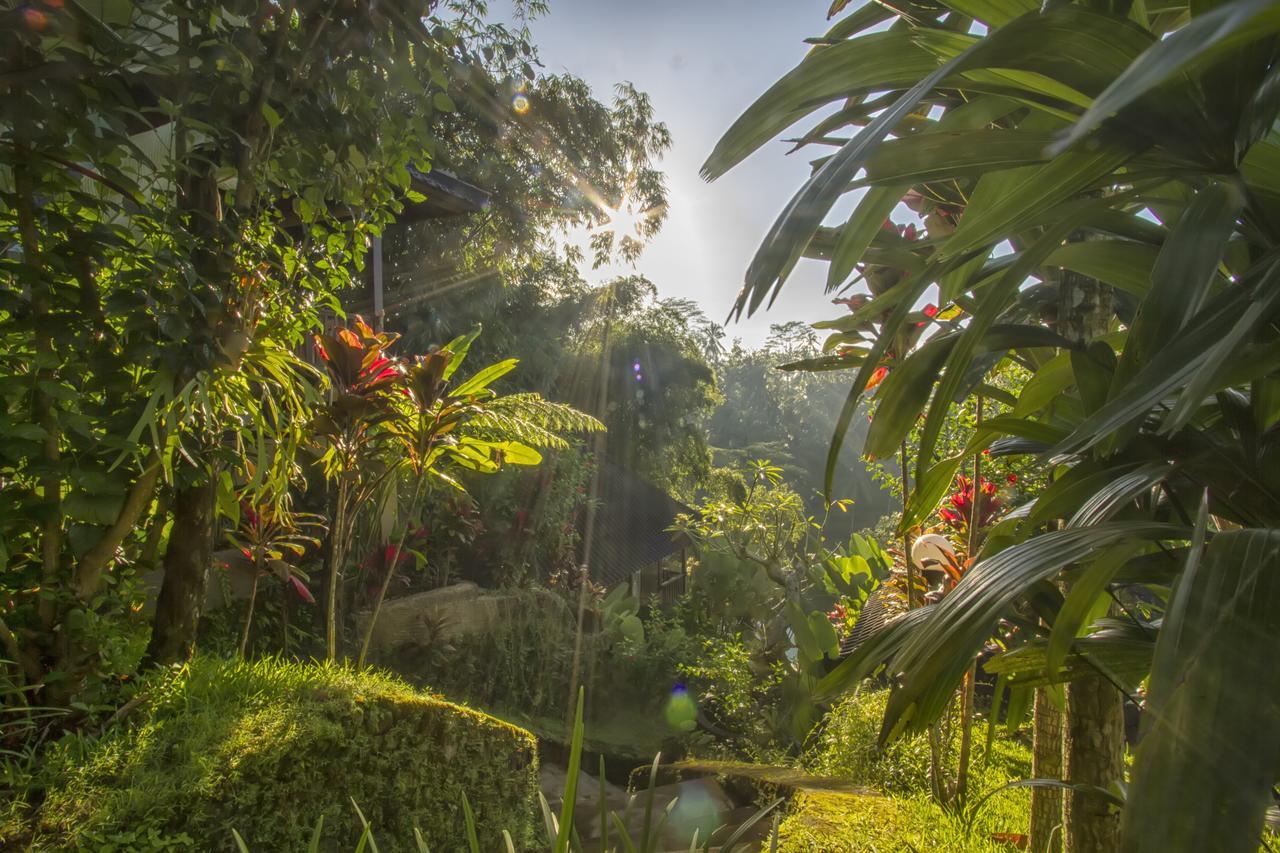 Villa Wedang Tegallalang  Exterior foto